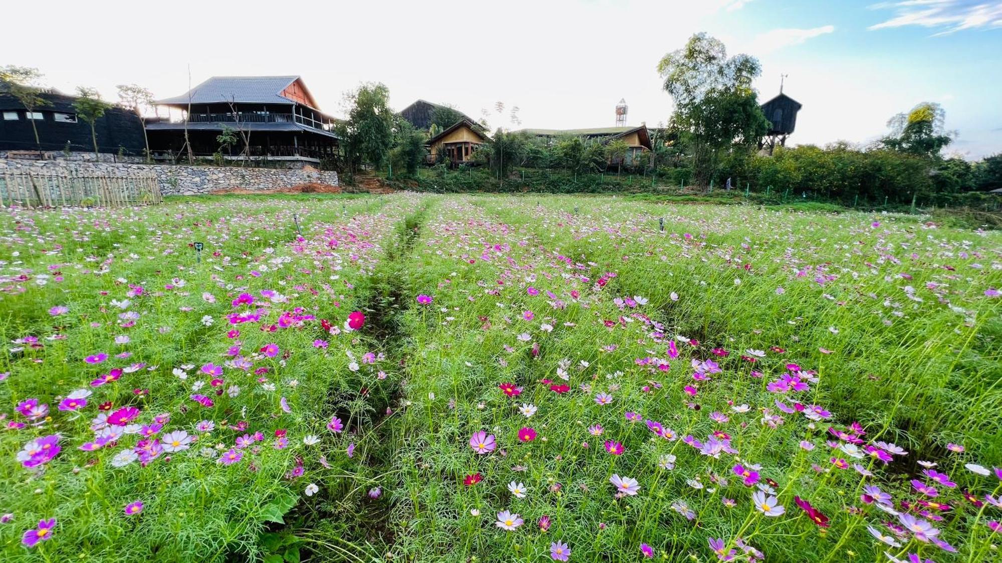 Satoyama Village Luong Son  Exteriör bild